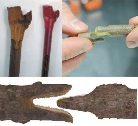 Cutit de altoit multifunctional, Banda de altoit, Nou ambalat!