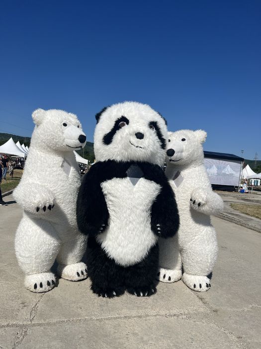 ИЗНЕНАДА с гигантска бяла МЕЧКА или ПАНДА