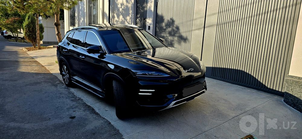 BYD Chempion 2024/25 toʻliq toʻq Kiraska top toza  tayyor full navorot
