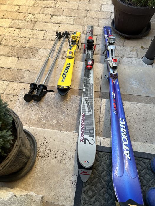 Schiuri adulti si copii