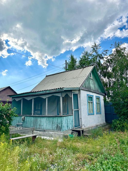 Дачу садоводство Клен