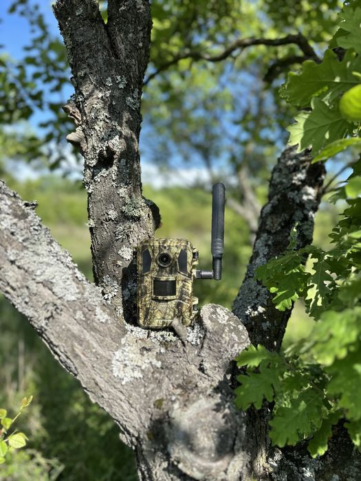 Camere vanatoare cu transmitere Live 4G Gps Panou solar