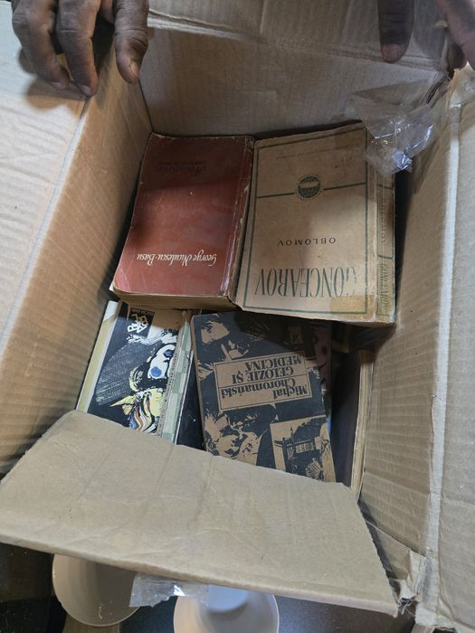 Lot cărți vechi / vintage – Literatură clasică, romane, colecții anticariat