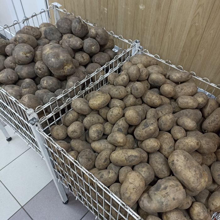 Картофель местный - 190 тенге