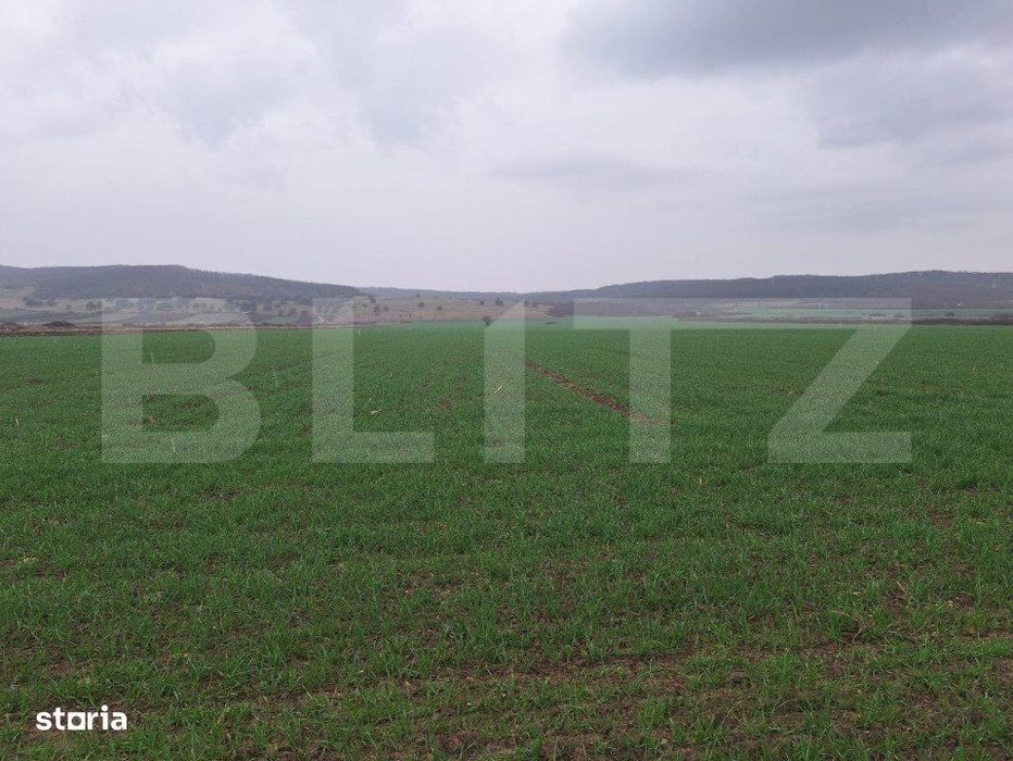 Teren extravilan agricol, 4200 mp, zona Cugir