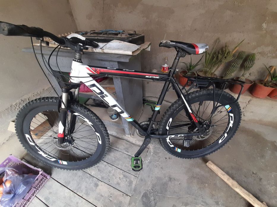 Velik bor arzon narxga srochna sotiladi