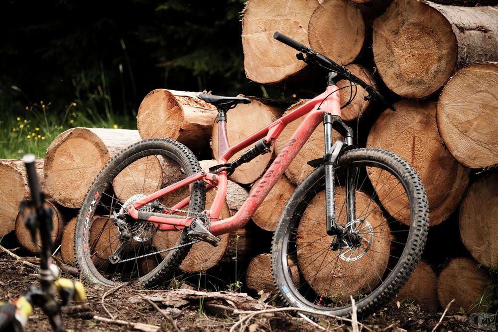 Canyon Neuron AL 5, 2023