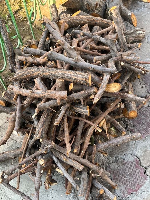 Фруктовые деревья