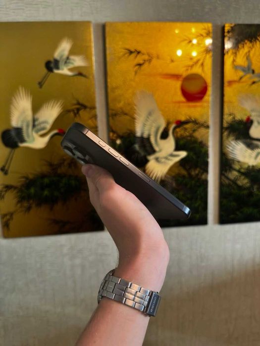 Iphone 16 Pro Max Black Titanium 100% 256гб Около Идеал