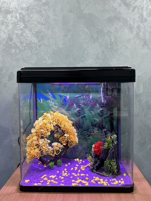 Заводские аквариумы ‼️‼️