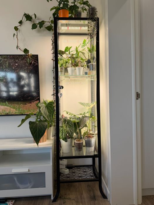 Витрина шкаф Икея