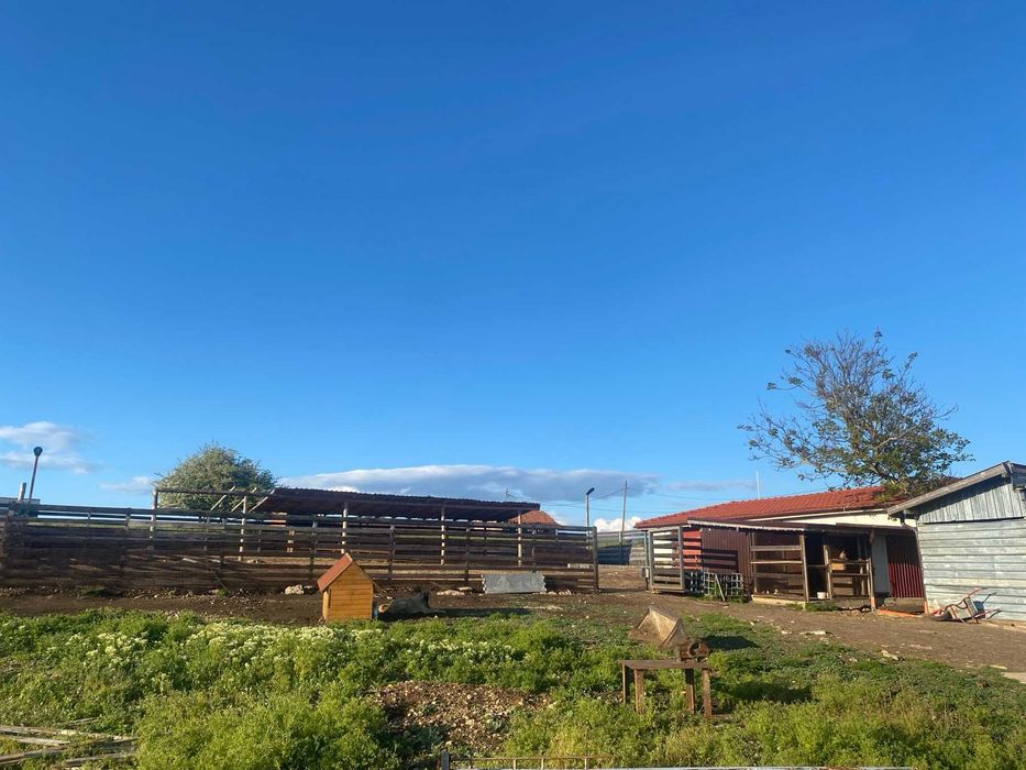 Продава се Къща в София, Център - 4448 кв.м за 135 €/кв.м - Снимка #8