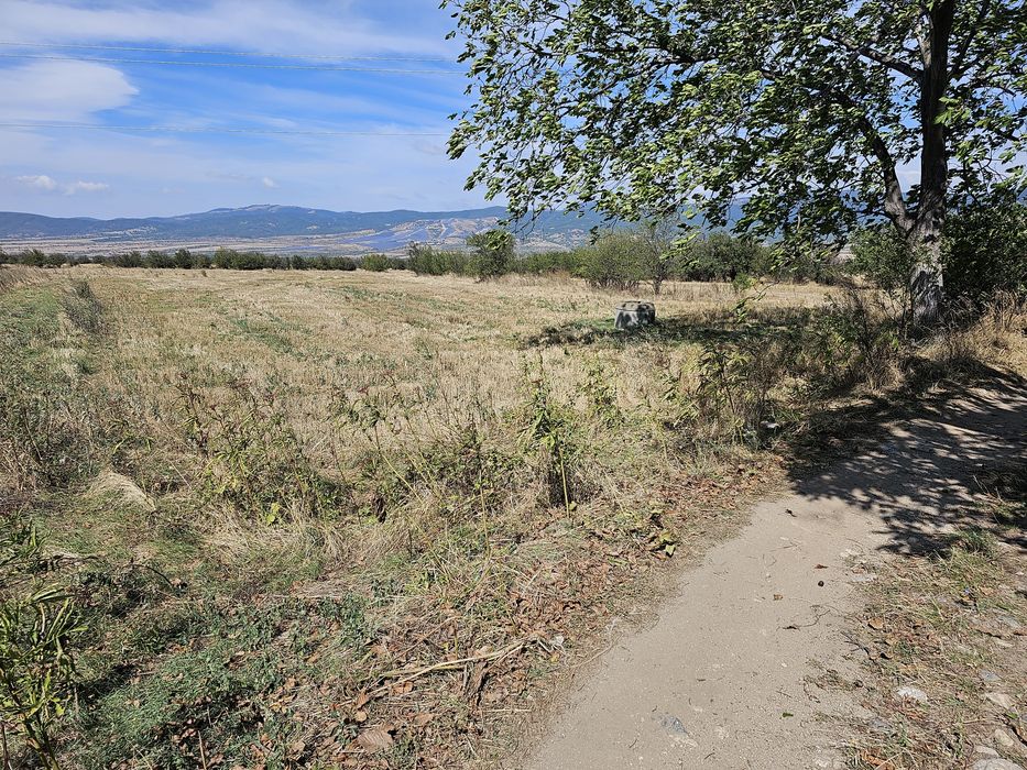 Продава се Парцел в Сапарева баня - 3096 кв.м за 7 €/кв.м - Снимка #4