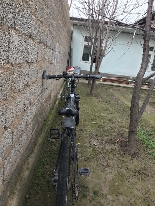 velik sotilad nekxus