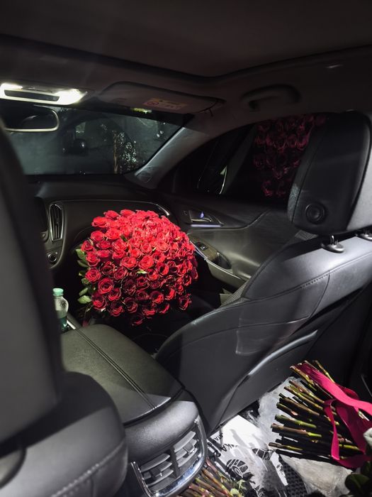 Optom Gullar lola gartenza atirgullar bor