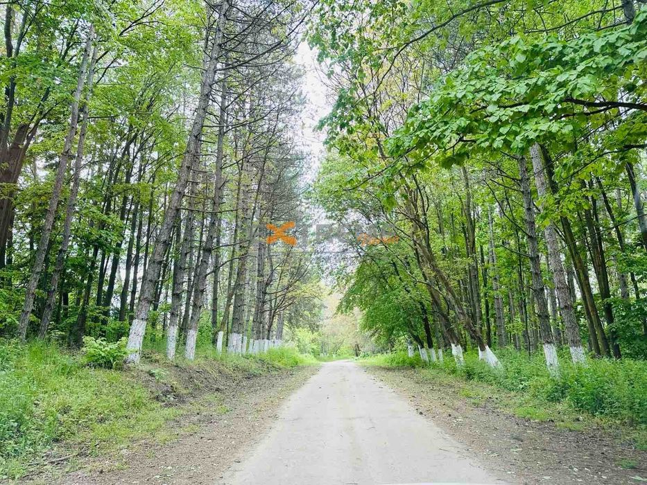 Парцел в с. Николаевка