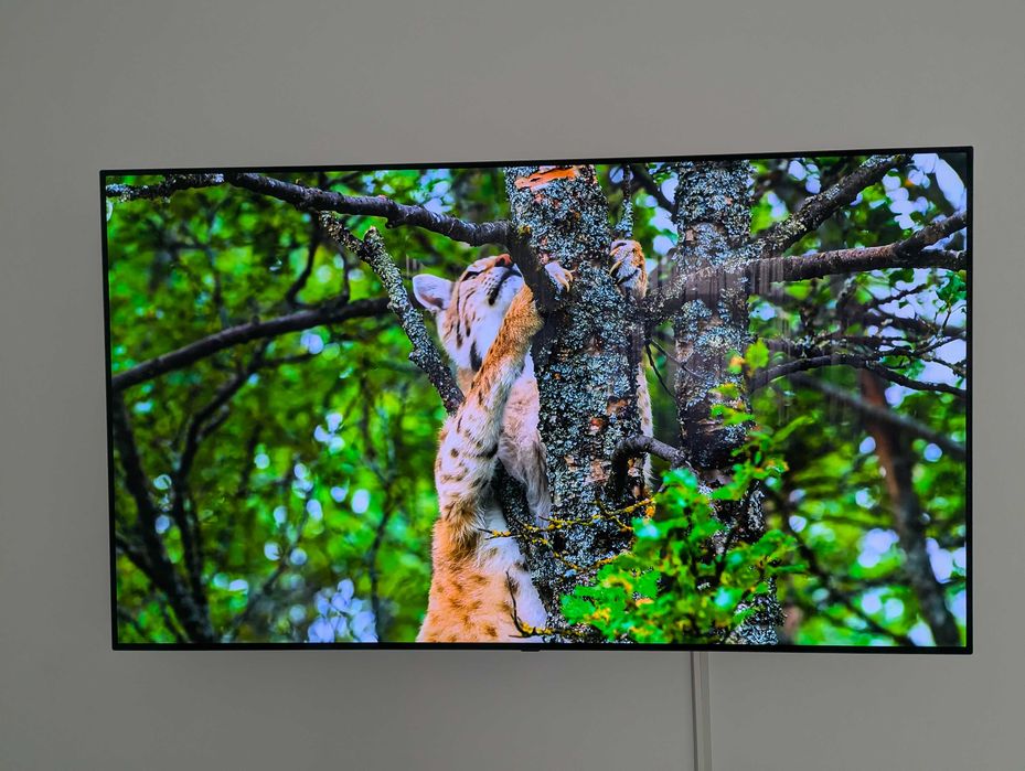 OLED LG 65" B9pla