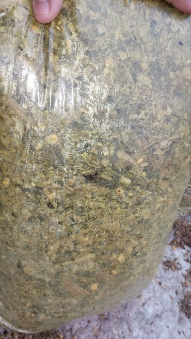 Silyos donli zor holda turibti qopi 20 kilo