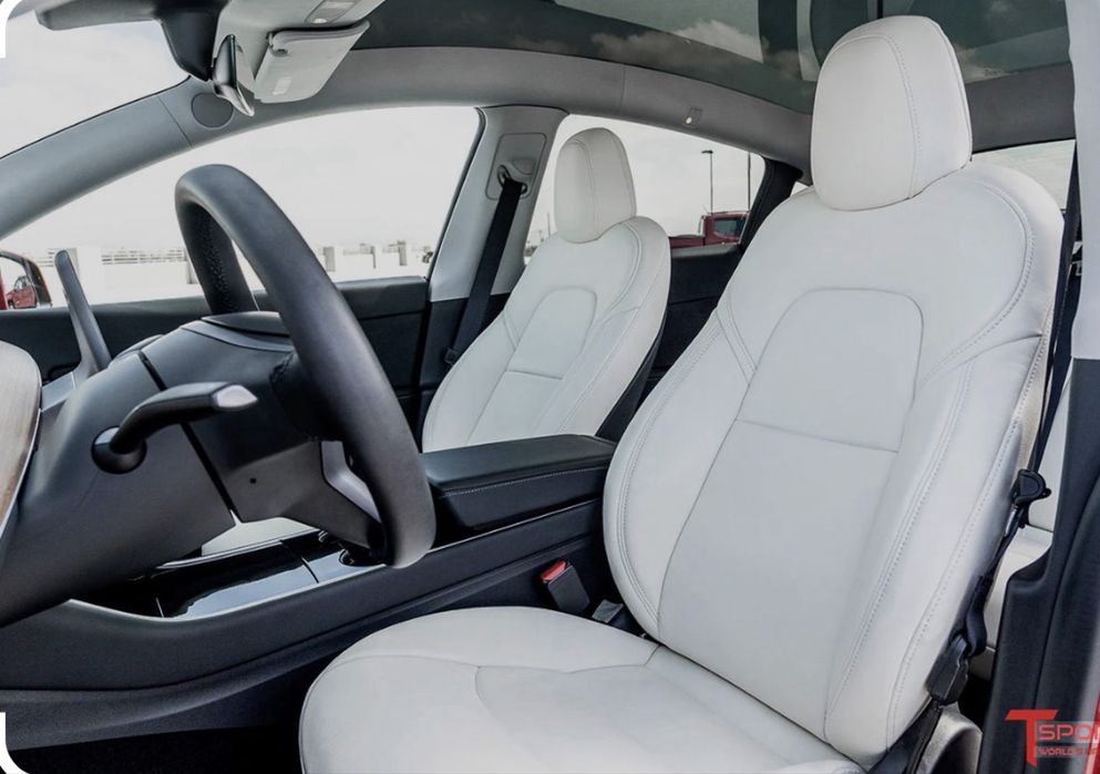 Tesla Model Y Performance dual mator