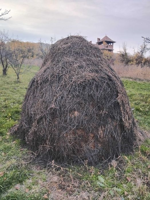 Vând plastă lucernă