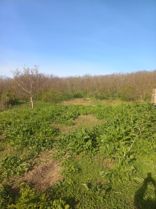 Casă de vânzare com P