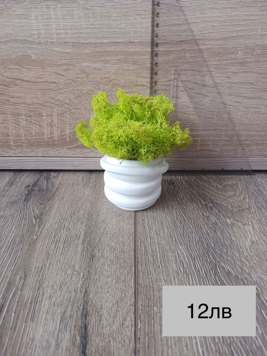 Декоративни кашпи с естествен скандинавски мъх