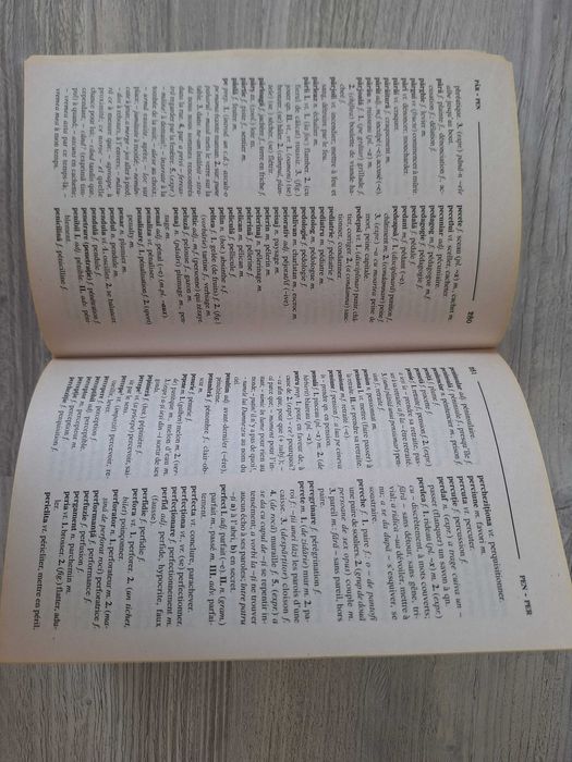 Dictionar roman-francez, francez-roman - Rodica Blaga Chiriacescu