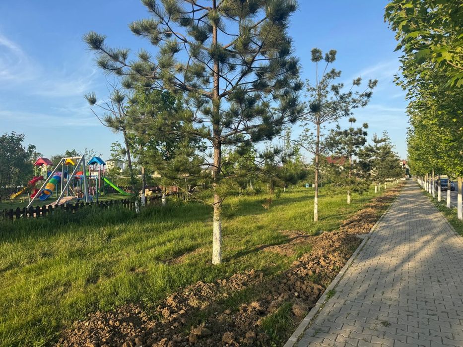 Teren intravilan 450 mp in zona parcului din Oras Titu oi
