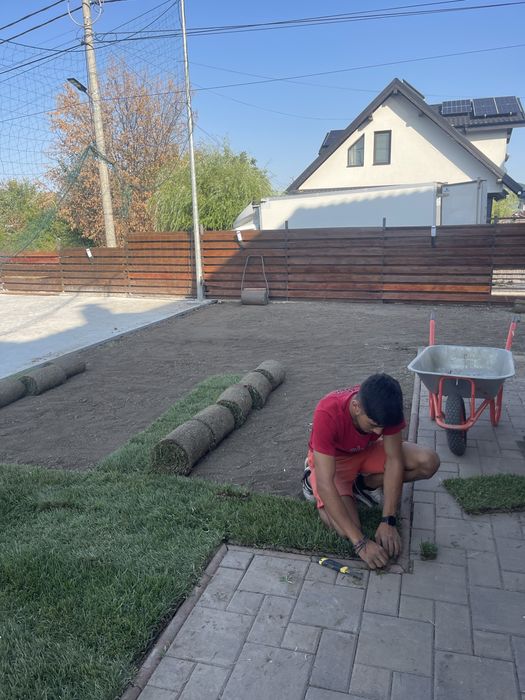 Gazon rulou și plante ornamentale