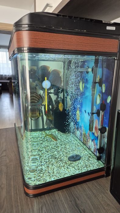 Продам аквариум на 200 литров.
