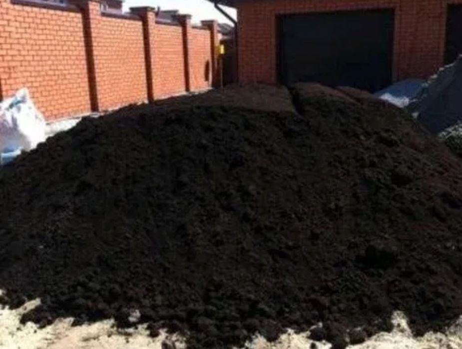 Pamant negru (vegetal)