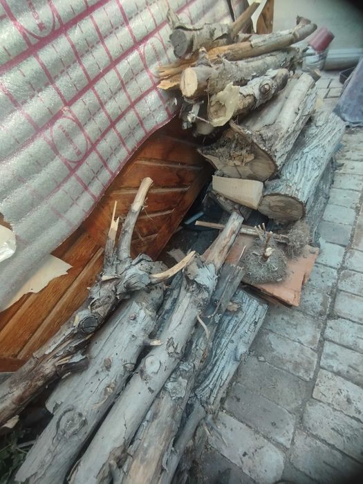 Утин сотилади урик ва енгок дарахтлариники