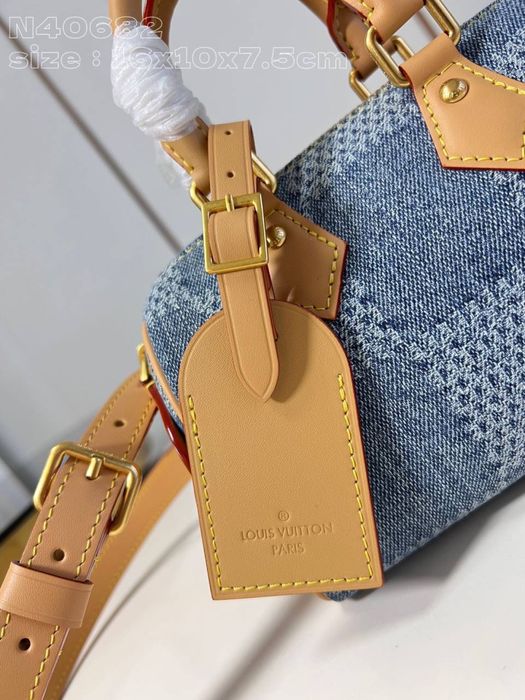 Geanta Louis Vuitton Speedy Nano