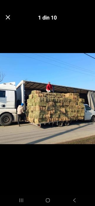 Baloti Rotunzi Lucerna min.40.or fan.Drept.min.500.Transport inclus>RO