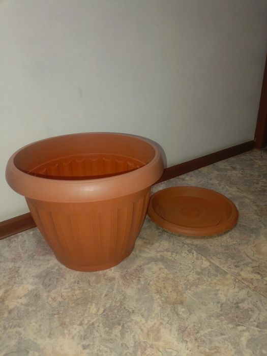 горшок для цветов