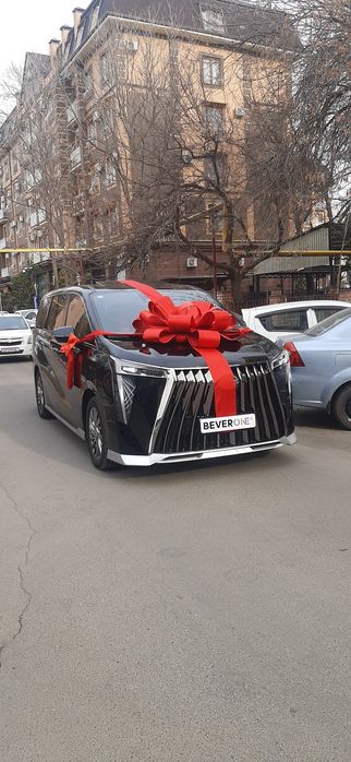 Бантик Bant na avto  mashinu