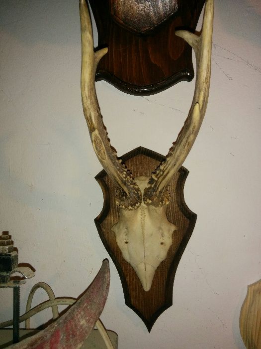 Поставки за ловни трофей