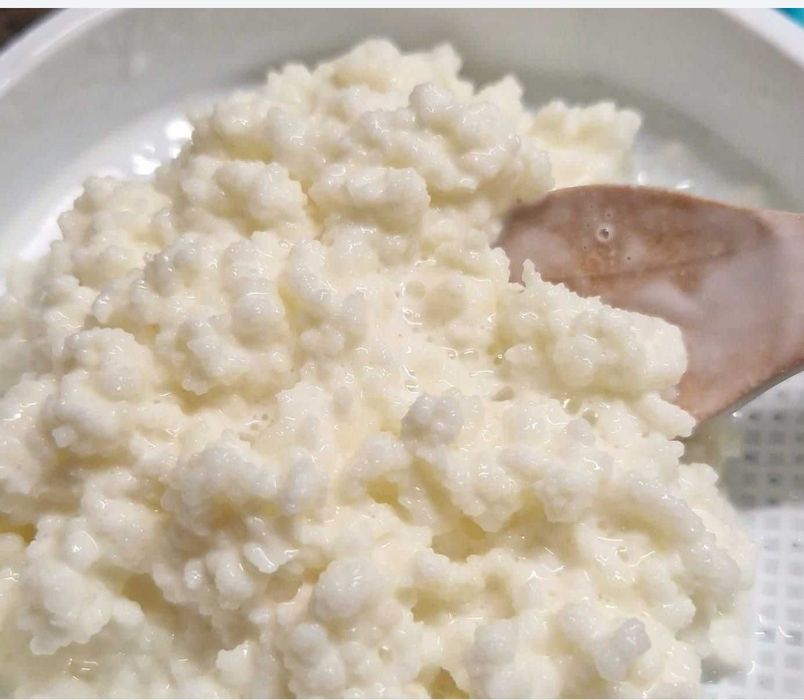 Granule de kefir de lapte, 20 gr