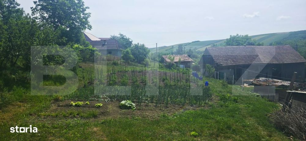Casa de vanzare, 120 mp, teren 4700 mp, zona Sanmihaiu de Campie