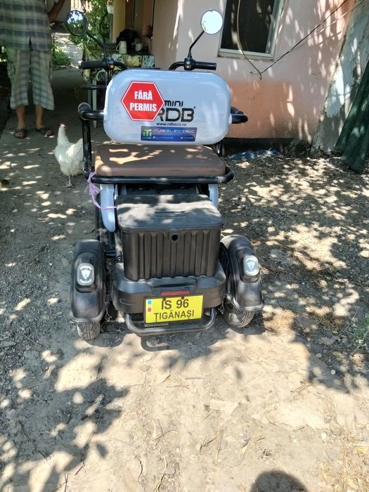 Mini triciclu Rdb