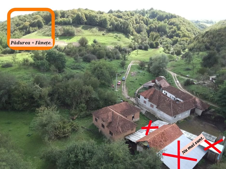 Proprietate Casă+grădina de vânzare