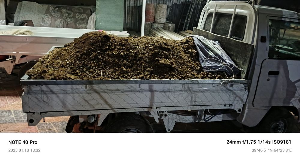 Мал Нури сотилади