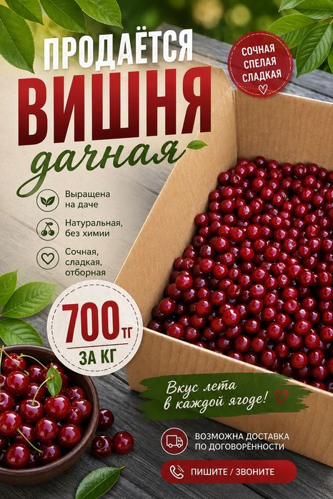 Дачная свежая вишня