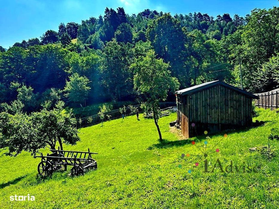 TEREN UNIC in Schei cu cabana