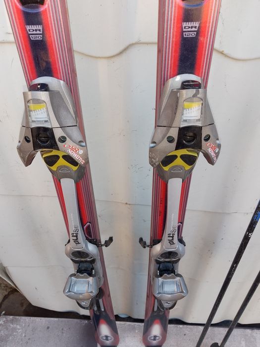 Schiuri Salomon Axendo Series