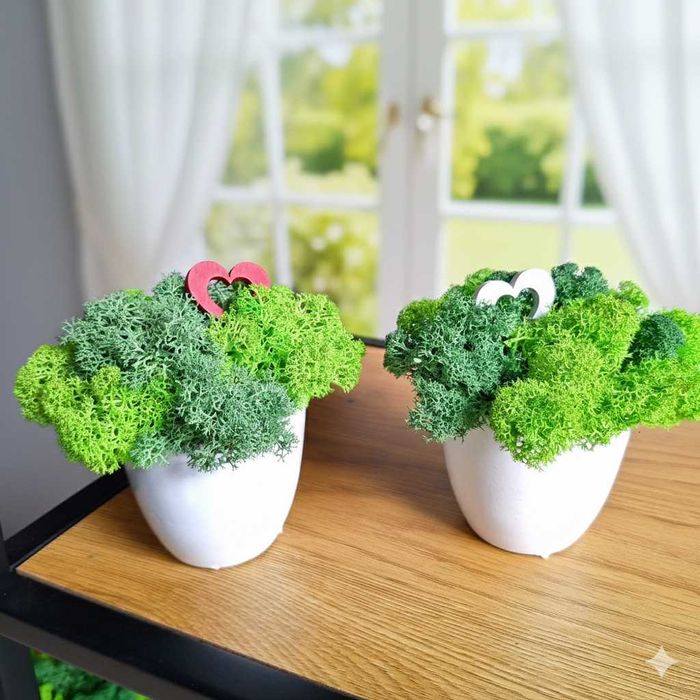 Декорации за 8ми март