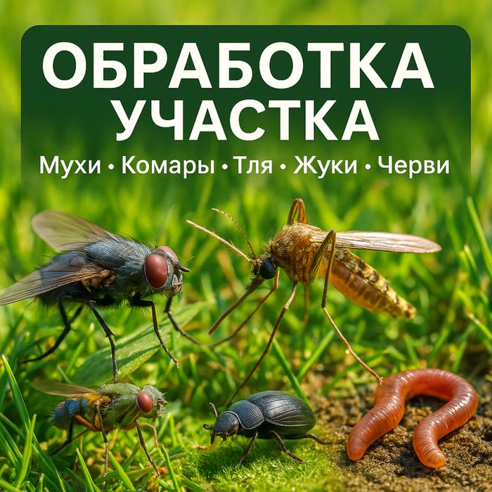 Гарантия Безопасно для Людей / Оброботка участка от всех насекомых