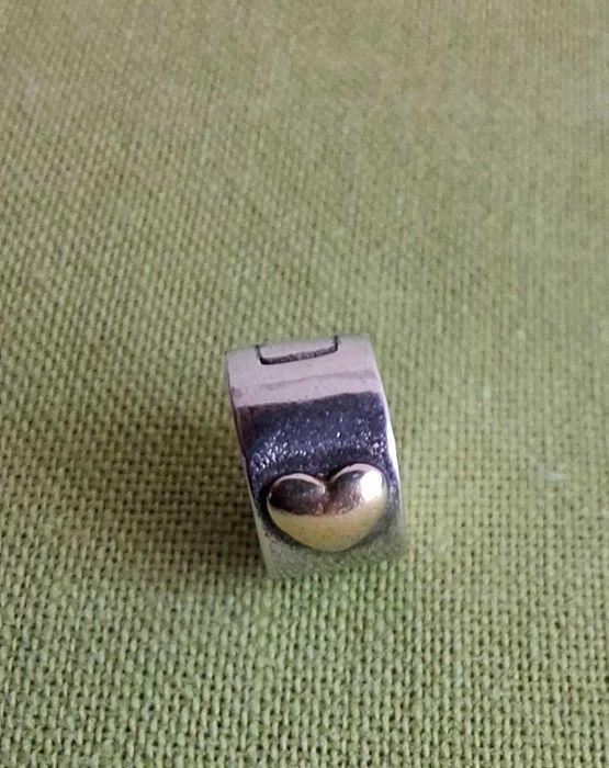 Обеци и гривна от стомана