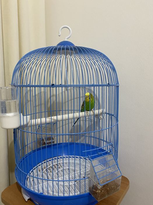 Мотоцикл детский