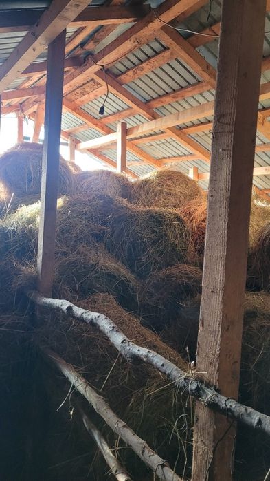 Vand baloti de fan si de ovaz